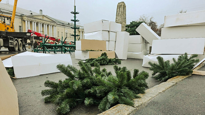 Во Владимире начали устанавливать новую главную городскую елку