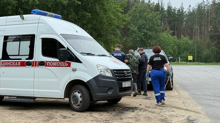 Неравнодушный автомобилист спас потерявшегося дедушку-рыбака