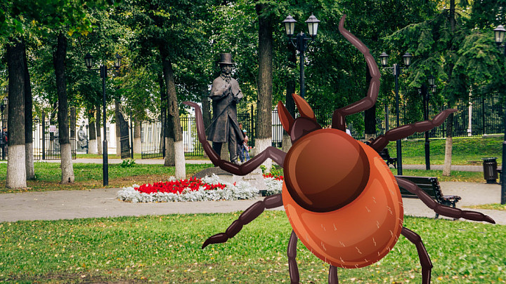 Сквер Липки и Пушкинский бульвар Владимира закроют для обработки против клещей