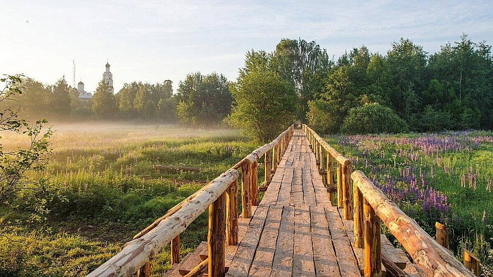 Самый длинный пешеходный мост в России подвергнут судебной экспертизе