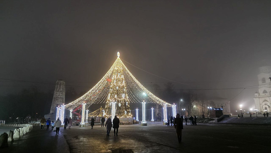 В центре Владимира заиграла огнями новая новогодняя елка