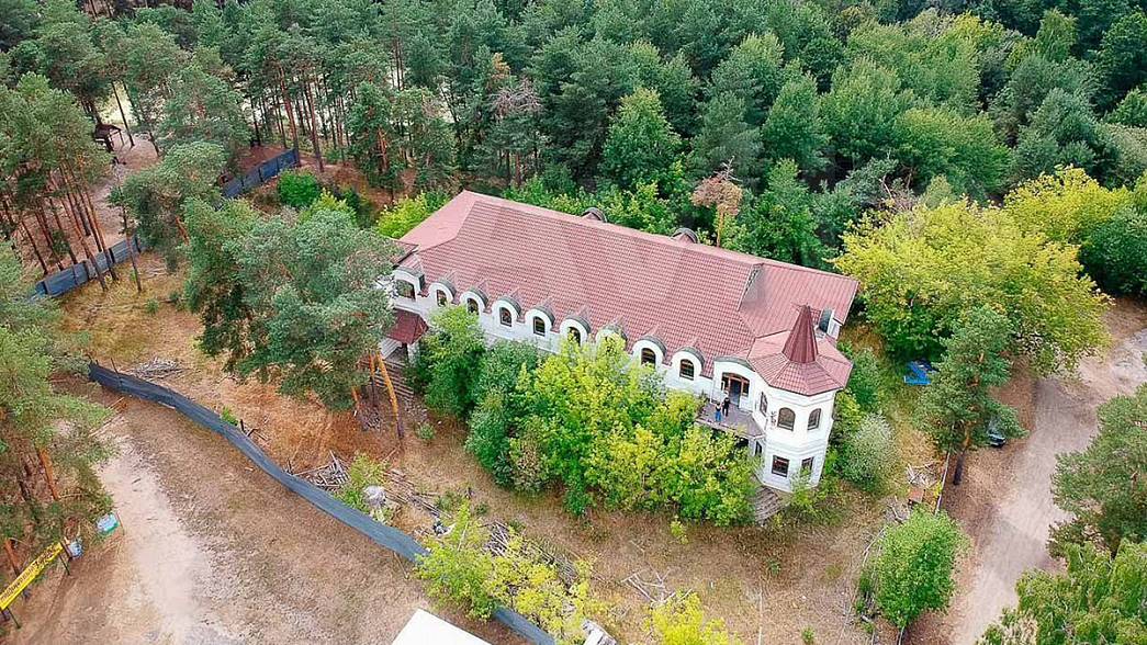 «Замок» в Загородном парке Владимира продается за 31 миллион рублей