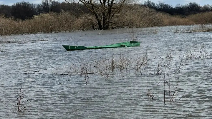 Первая трагедия на воде: в Оке утонул рыбак, второго - ищут