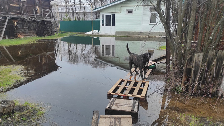 Дома в Муроме «поплыли» не только из-за паводка