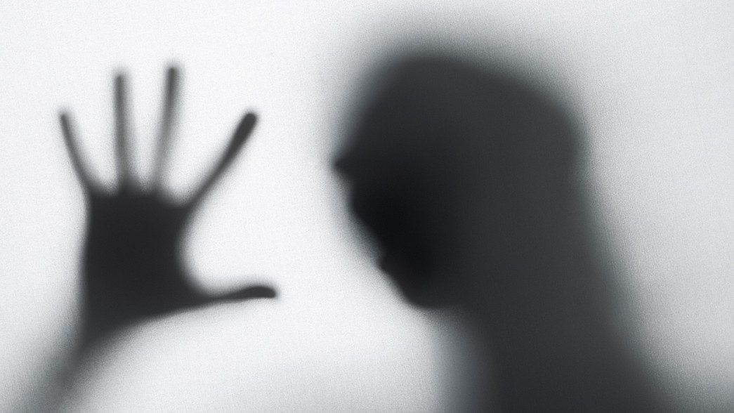 Вынесен приговор бездомному, который задушил приютившую его хозяйку дачи