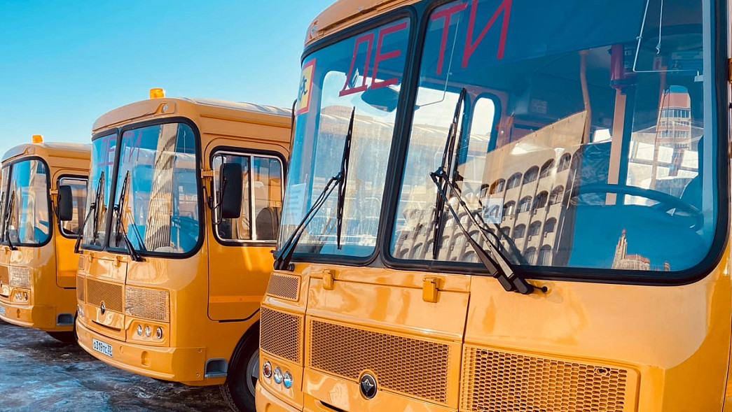 Автобусы с владимирскими школьниками смогут ездить по платной трассе М-12 бесплатно