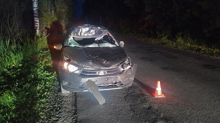 Во Владимирской области за три дня произошло еще четыре ДТП с лосями