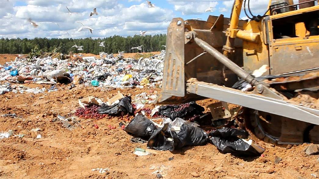С участием владимирских таможенников за полгода было уничтожено 200 кг продуктов
