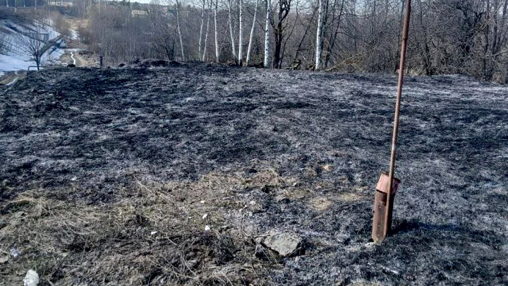 Во Владимирской области начались первые палы сухостоя
