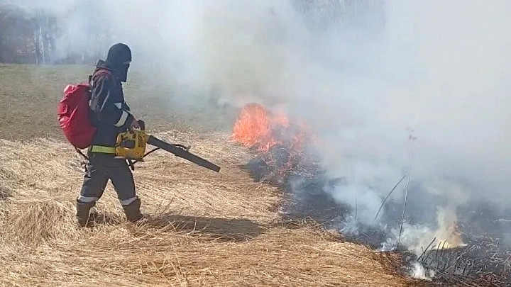 Во Владимирской области зафиксировано уже 33 случая поджогов сухой травы