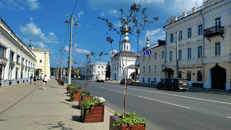 Что мешает вернуть деревья на центральную улицу города Владимира?