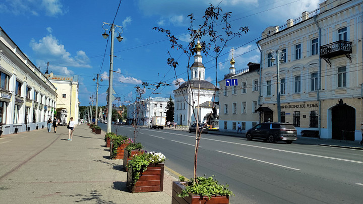 Что мешает вернуть деревья на центральную улицу города Владимира?