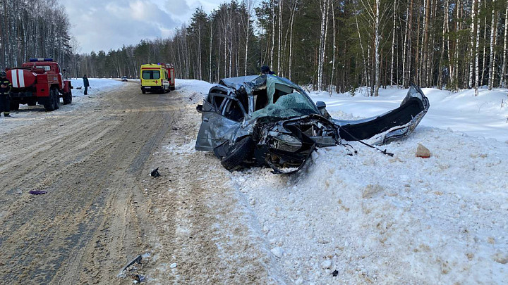 39-летняя женщина погибла в лобовом столкновении с тягачом, перевозившим дорожную технику