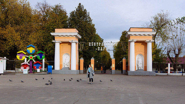 Сколько всего деревьев вырубят в Центральном парке города Владимира?