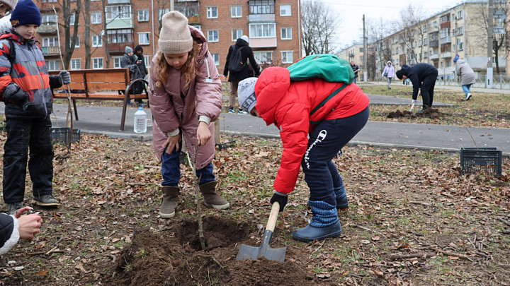 Улице Усти-на-Лабе во Владимире добавили каштанов