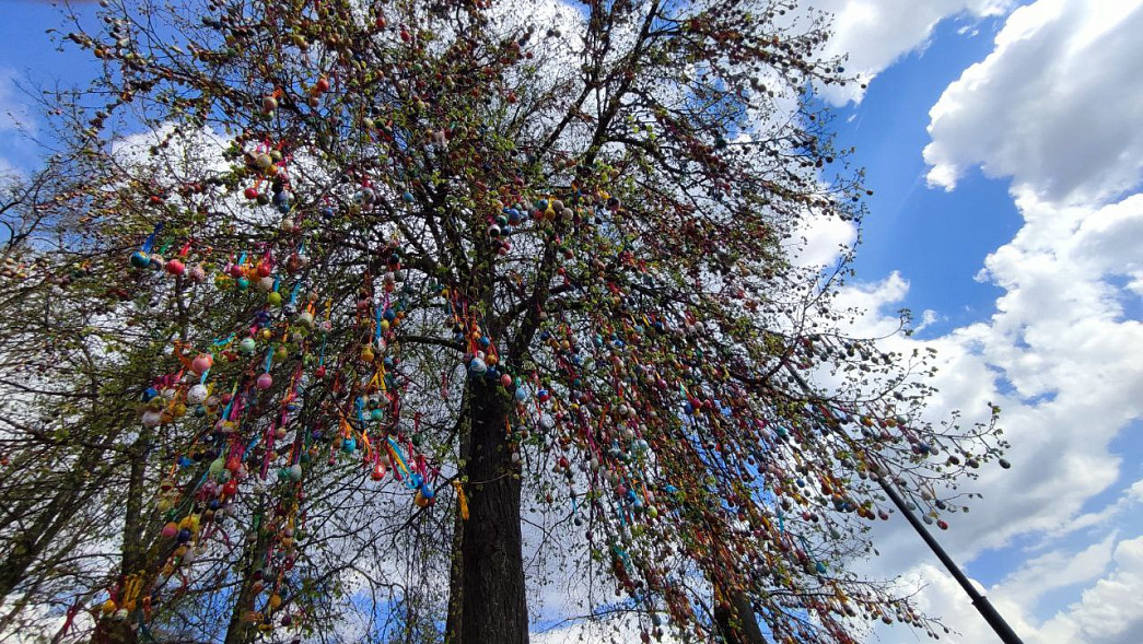 Владимирцы против Пасхального дерева?