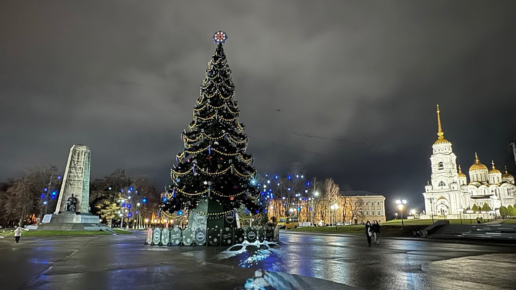 Главная городская елка Владимира переедет в Юрьевец