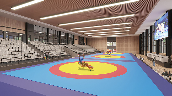 Каким будет областной Центр спортивной борьбы на Суздальском проспекте?
