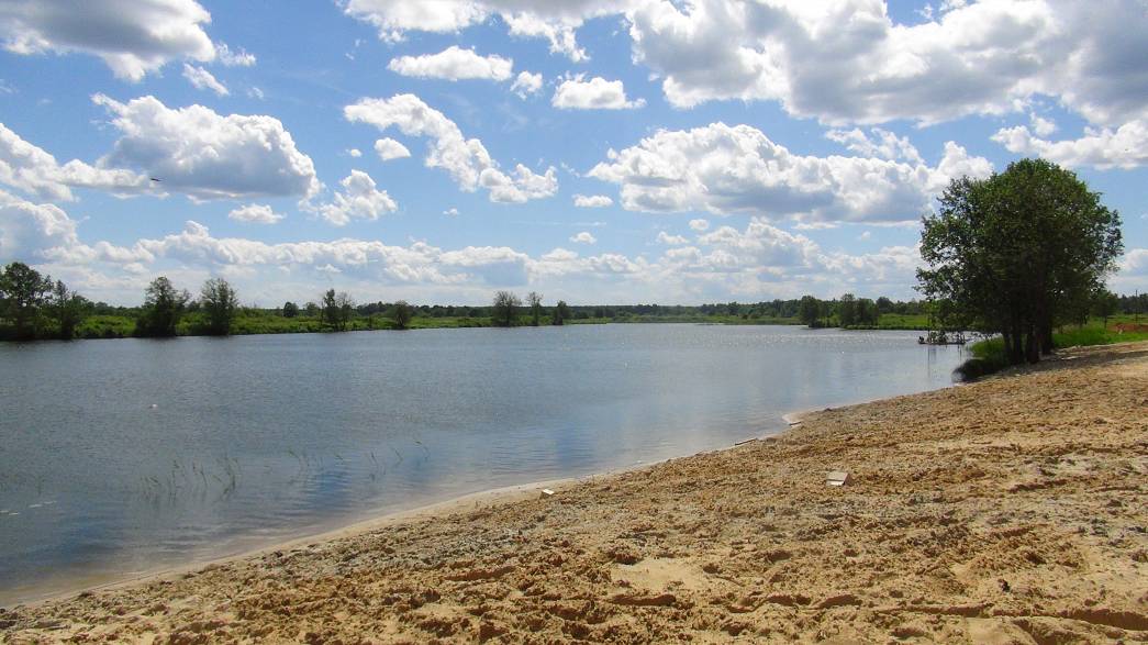 Прибрежную зону озера Запольское, которую покинула «Территория смыслов», выставили на аукцион
