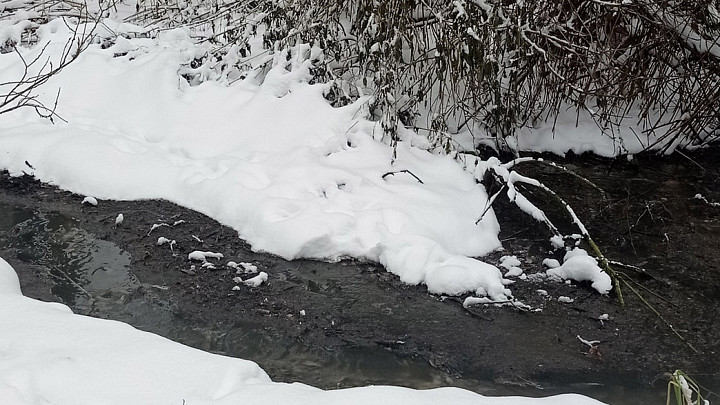 Окрестности Ликино заливает фекалиями