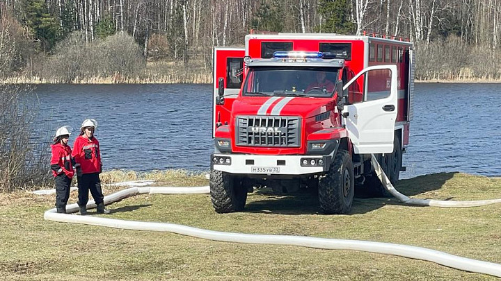 Во Владимирской области вдвое снизилось число лесных пожаров