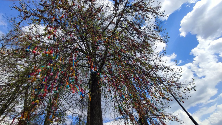 Владимирцы против Пасхального дерева?