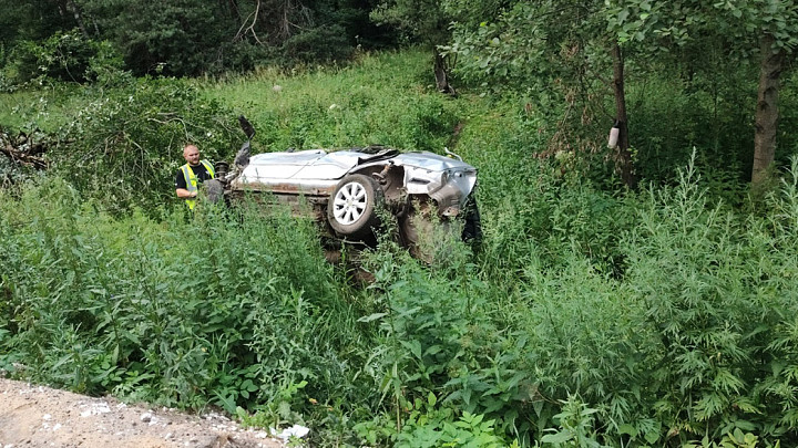 Водитель Suzuki погиб, опрокинувшись в кювет и врезавшись в дерево