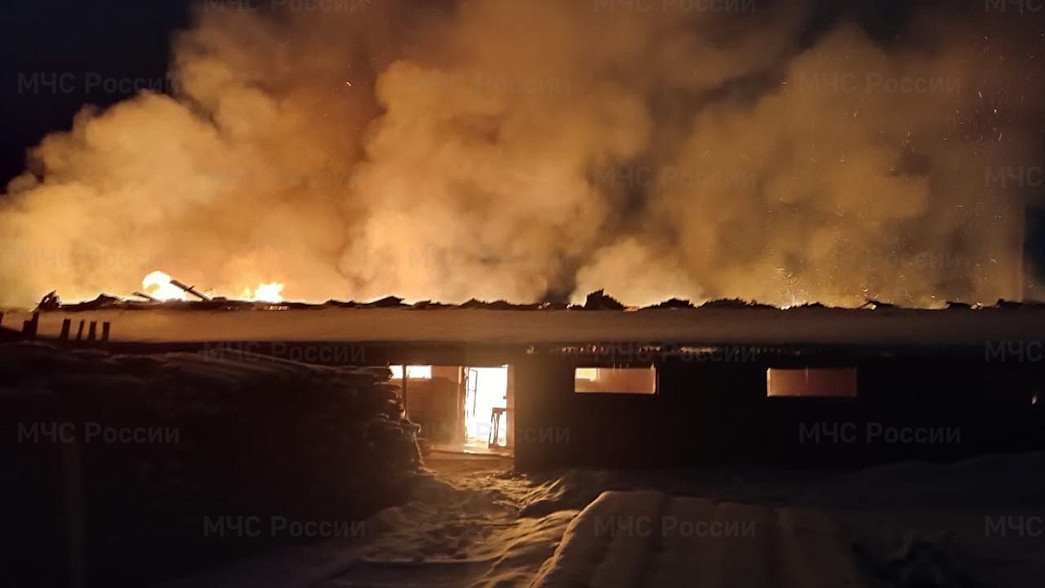 «Новогодние» пожары убивают людей и бизнес
