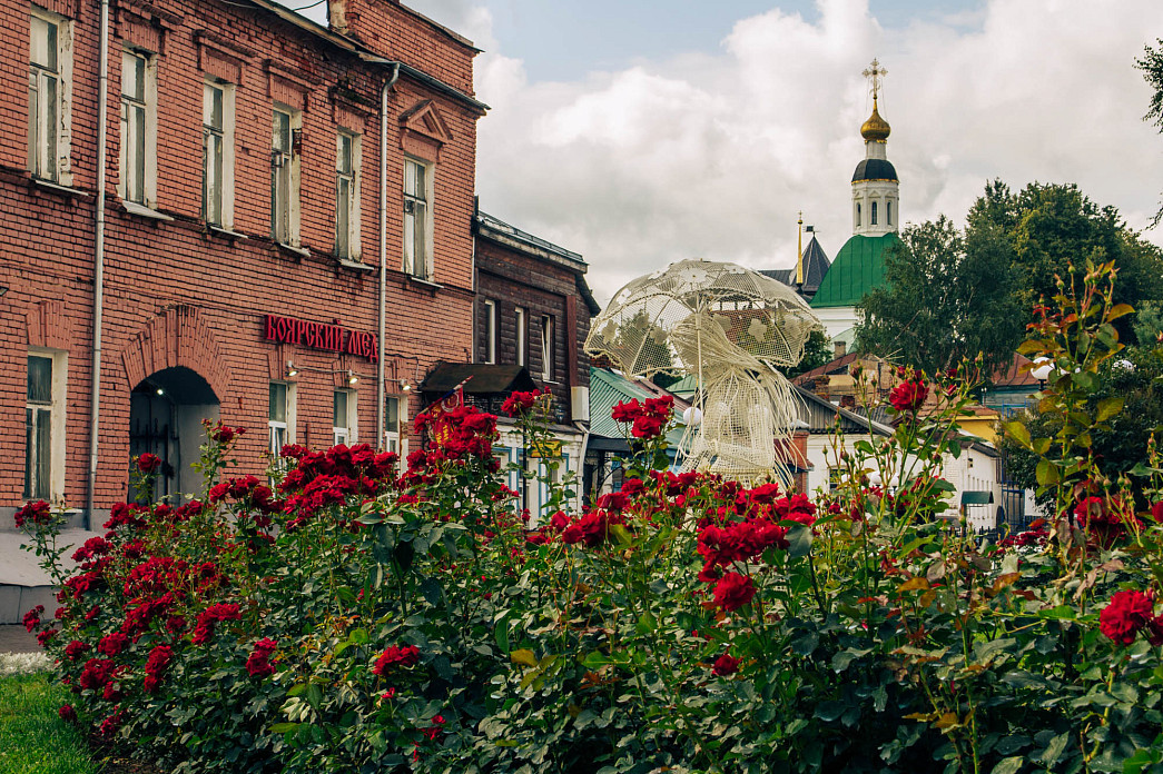 У смотровой площадки у Дмитриевского собора Владимира расцветут розовые кусты