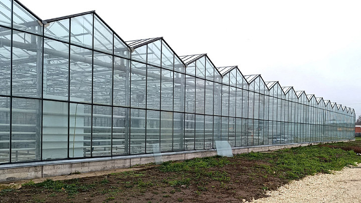 Во Владимире реконструировали «салатные» теплицы