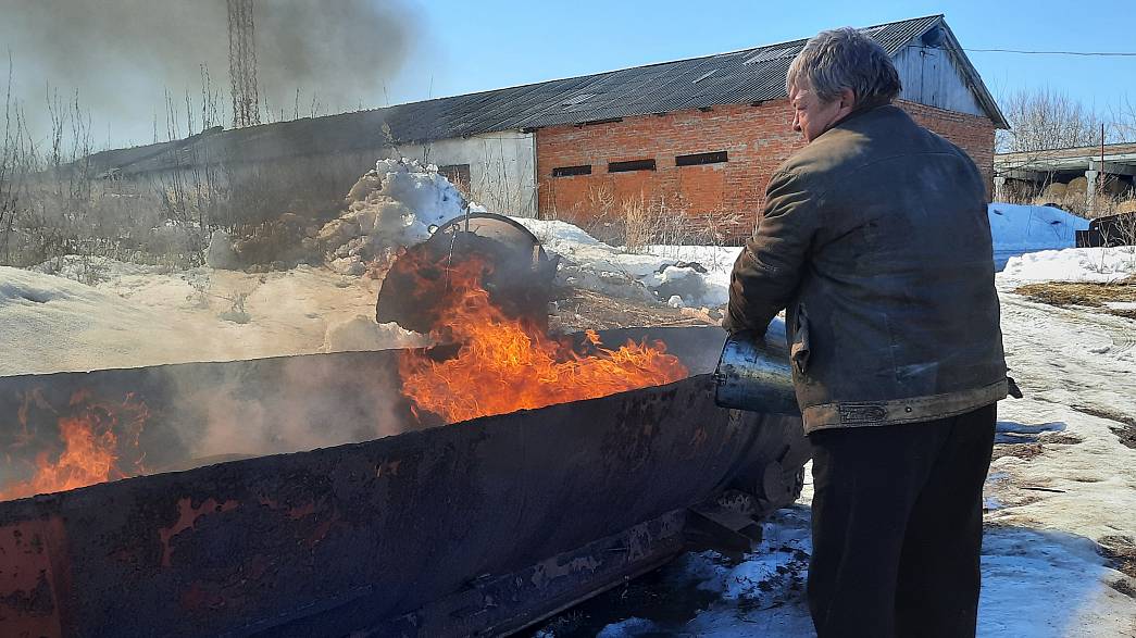 Во Владимирской области сожгли тонну семян, зараженных опасным сорняком