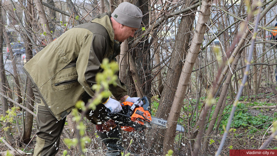 Врио владимирского мэра Волков взялся за пилу