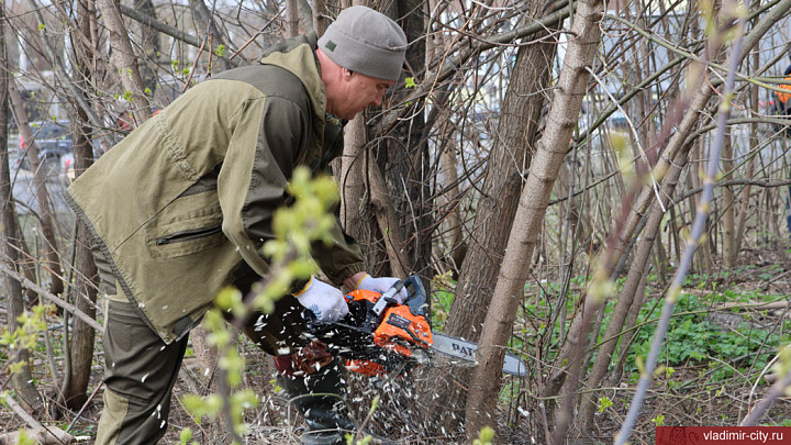 Врио владимирского мэра Волков взялся за пилу