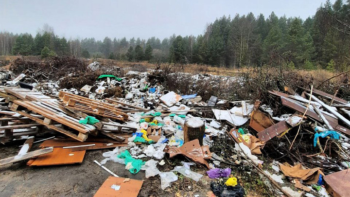 Владимирскую деревню спасли от превращения в помойку