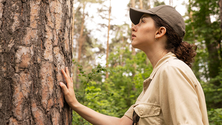 Городские садовники займутся лесами и пришкольными зарослями
