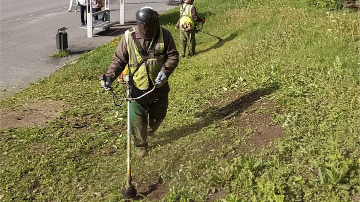 Во Владимире стартовал газонокосительный сезон