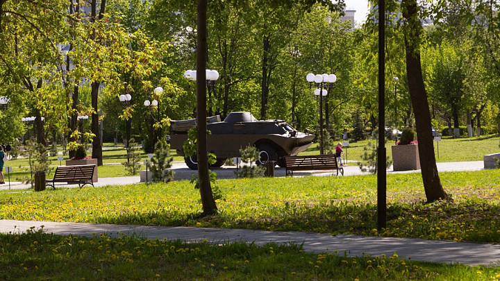 Владимирские парки и скверы уходят в «Зеленый город»