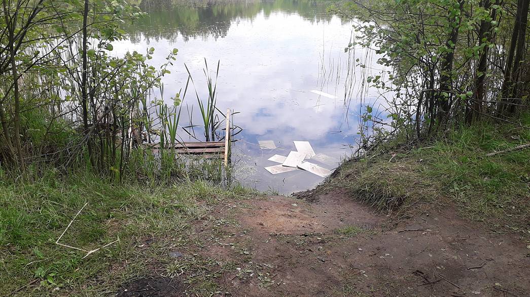 На прудах Владимирской области произошло два происшествия. В одном случае тонущего мужчину успели спасти