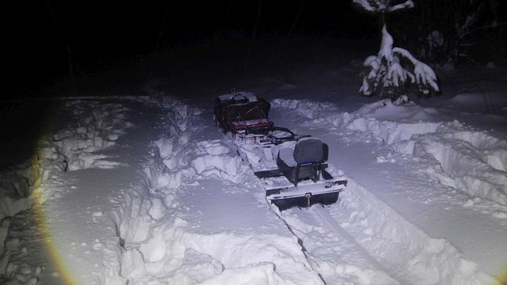 Браконьера, убившего лося, задержали практически на месте преступления