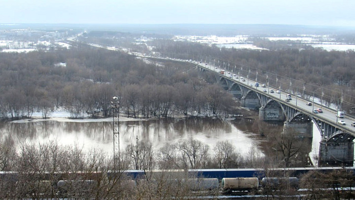 Чем займется Владимирское городское лесничество?