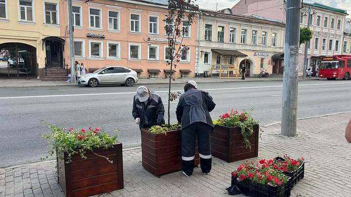 Первые клумбы с декоративными яблонями появились в центре Владимира