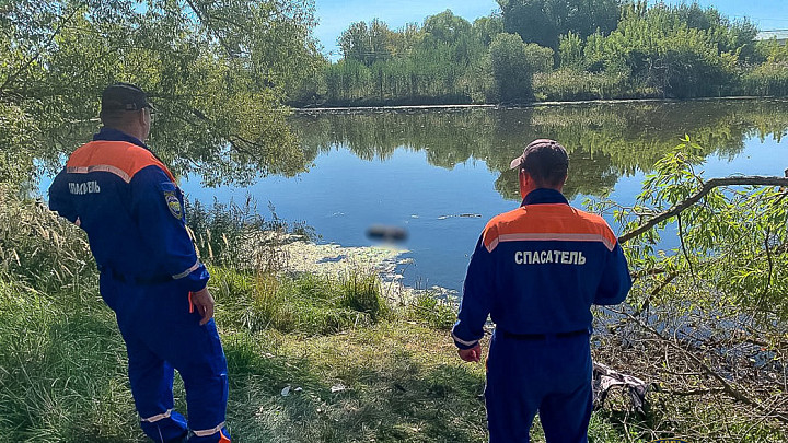 В центре города Камешково из Больничного пруда извлечено тело мужчины