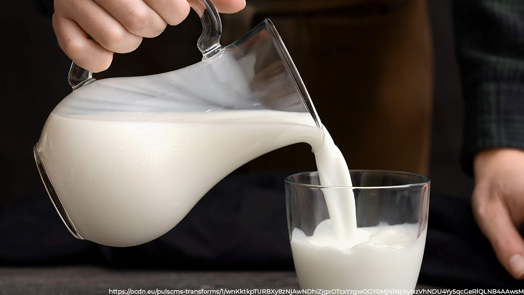 Кто производит самое вкусное и качественное владимирское молоко?