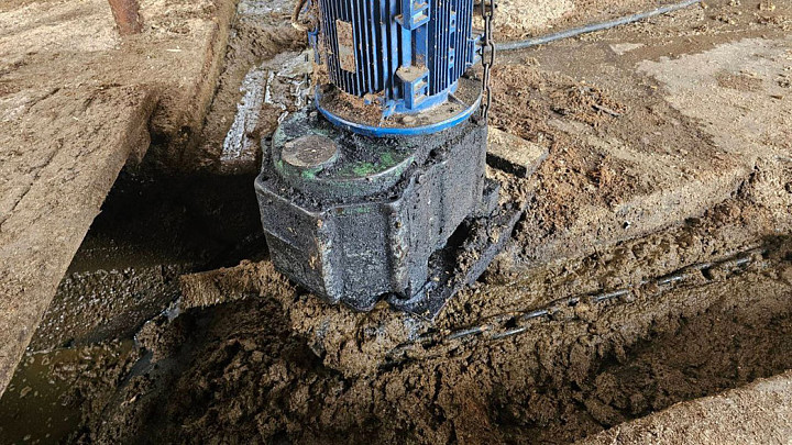 Директора «Муравии» будут судить за гибель работника фермы