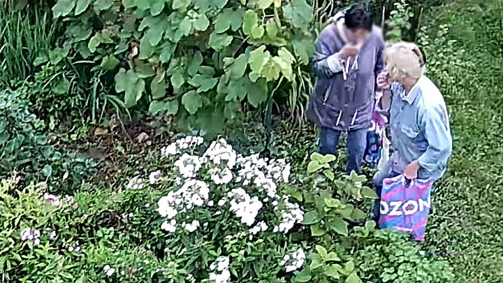 Предприимчивые владимирцы устроили «сезонную ярмарку» в огородах своих земляков