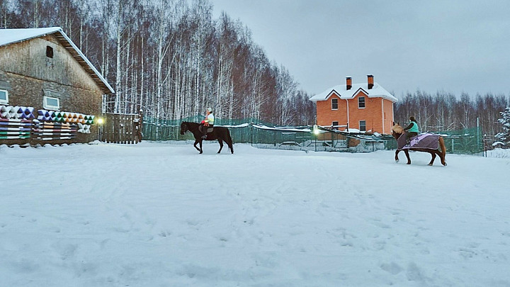 Родители девочки, пострадавшей в конном центре, добились возбуждения уголовного дела