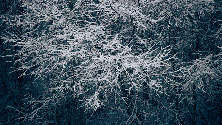 Владимирские спасатели и энергетики готовятся к резкому ухудшению погоды