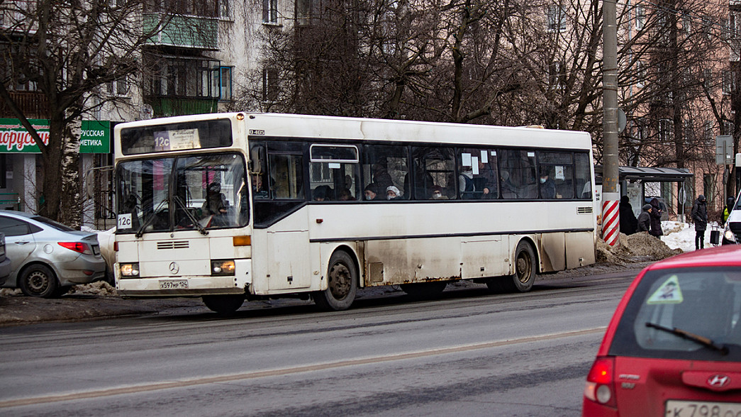 Мэрия Владимира разыгрывает еще пять автобусных маршрутов