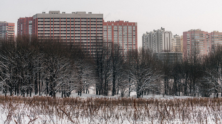 Владимирцы могут выразить отношение к застройке окрестностей парка «Дружба»