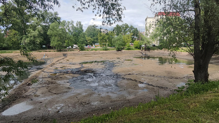 Рыбу в обезвоженном Соловьином пруду города Владимира спасали «в ручном режиме»